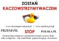 www.skorumpowani.pxd.pl