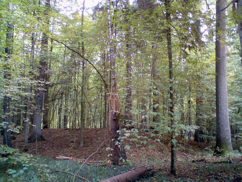 Rezerwat Szczekotowo - kurhan